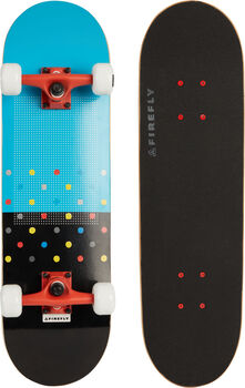 305 skateboard