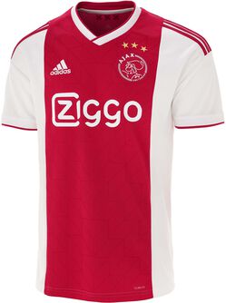 Ajax Thuisshirt 2018-2019