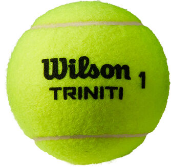 Trinity 4-pack tennisballentube