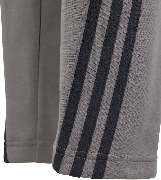 Future Icons 3-Stripes Ankle-Length broek