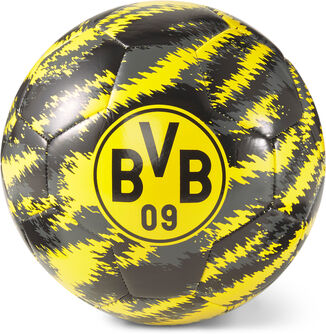 Borussia Dortmund voetbal