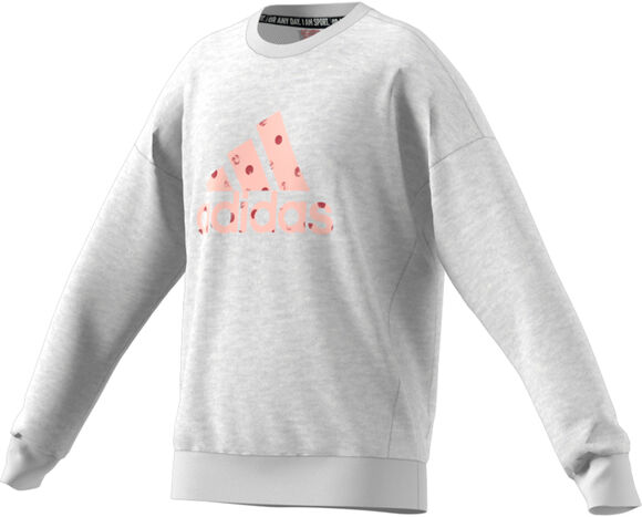 Must Haves Badge of Sport kids sweater