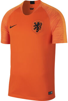 beschermen Kenia Bekwaam Nike Breathe Nederlands Elftal Stadium Home shirt Heren Oranje | Bestel  online » Intersport.nl