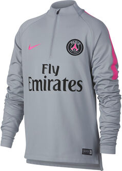 Dry Paris Saint-Germain Squad shirt