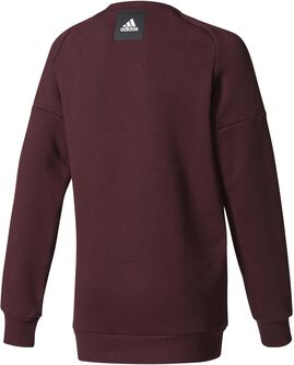 ID Tech jr sweater