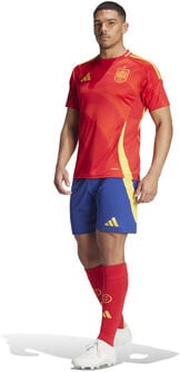 adidas Spanje wedstrijdset