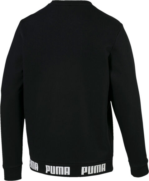 Amplified Crew sweater