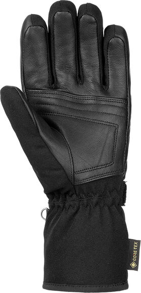 Raphael GTX handschoenen