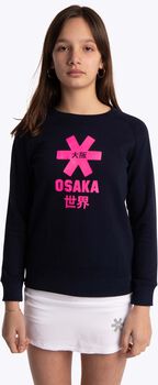 Deshi Pink Star sweater