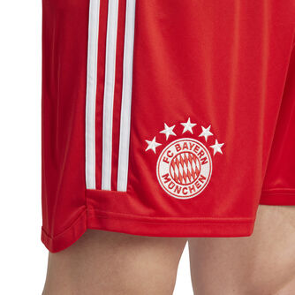 FC Bayern München 23/24 trainingsshort 