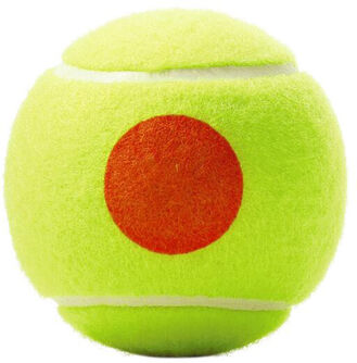 Minions Stage 2 3-tin tennisballen