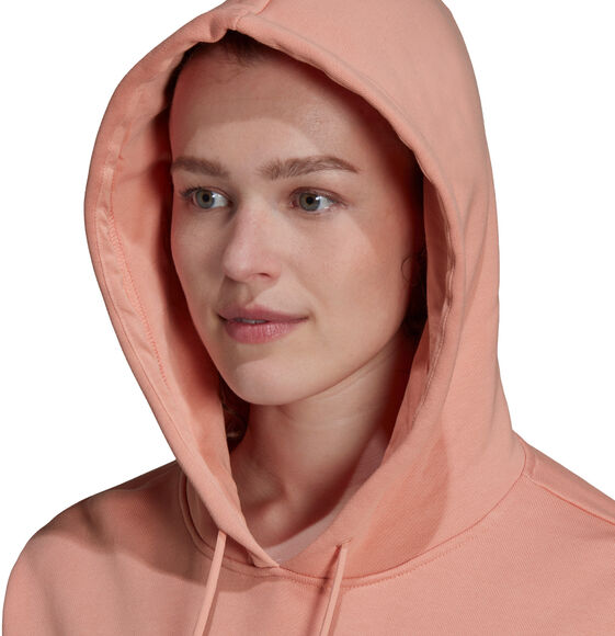 Sportswear Future Icons hoodie